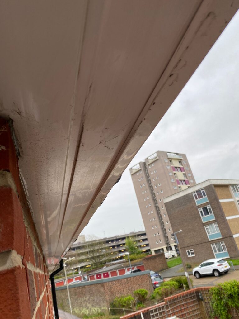 Fascia and Soffit Clean in Takeley