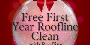 Promotion inside a transparent snow globe with red bow: "Free First Year Roofline Clean with Roofline Replacement".