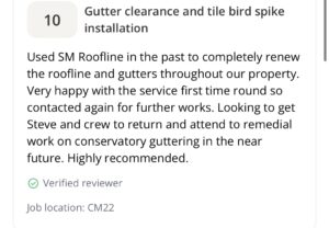 Screenshot of a customer review recommending gutter clearance and tile bird spike installation services.