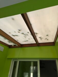 Interior shot showing the original polycarbonate roof sheets in place before they were removed.