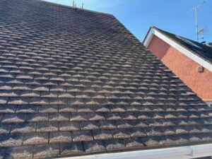 Rear section of the roof after moss removal and valley repair in Old Harlow.