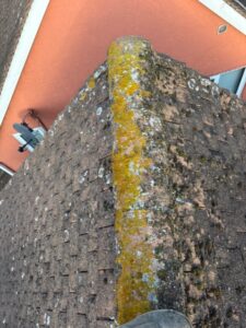 Moss-covered ridge tiles on front roof before cleaning at a home in Old Harlow.