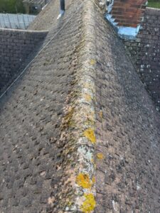 Close-up of roof ridge covered in moss before roof clean in Old Harlow.