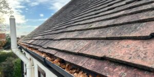 Gutter blocked with fallen leaves along roof edge