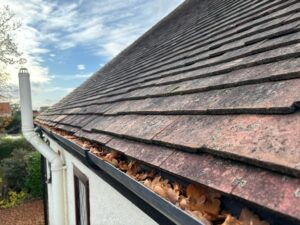 Gutter blocked with fallen leaves along roof edge