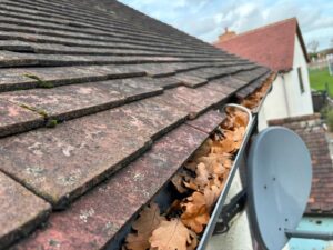 Debris trapped in gutter causing drainage problems