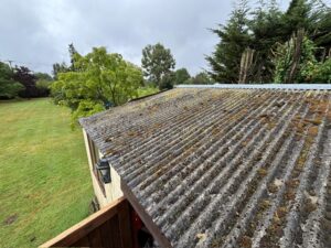Moss-covered corrugated roof before removal
